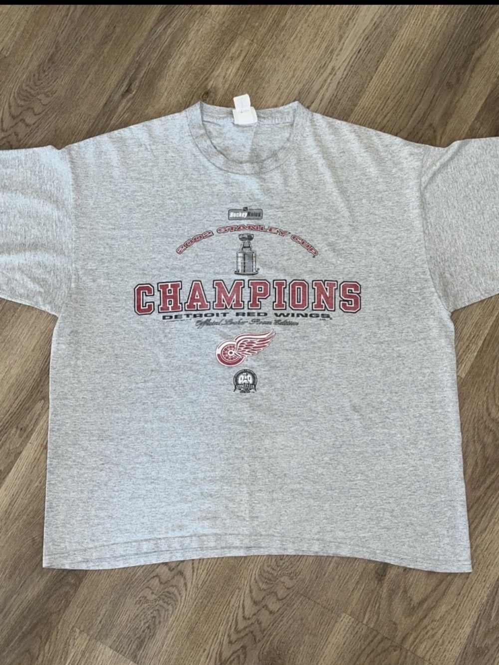 Detroit Red Wings "Champions" Gray Graphic Tee Lee Sport vintage NHL